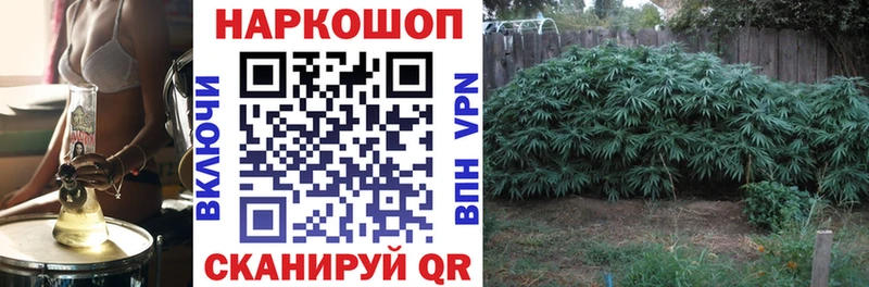 Названия наркотиков Луза ГАШИШ  Марихуана  Галлюциногенные грибы  Мефедрон 
