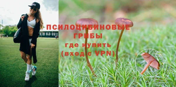 мяу мяу кристалл Алексин